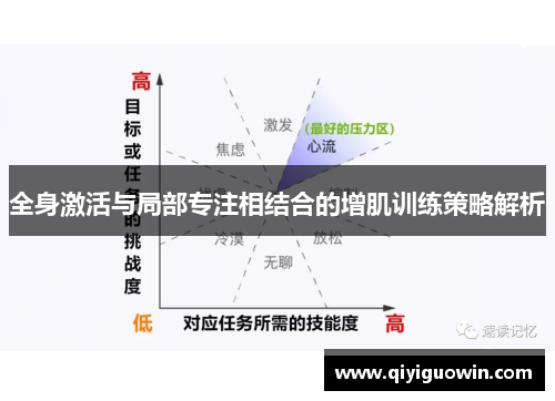 全身激活与局部专注相结合的增肌训练策略解析